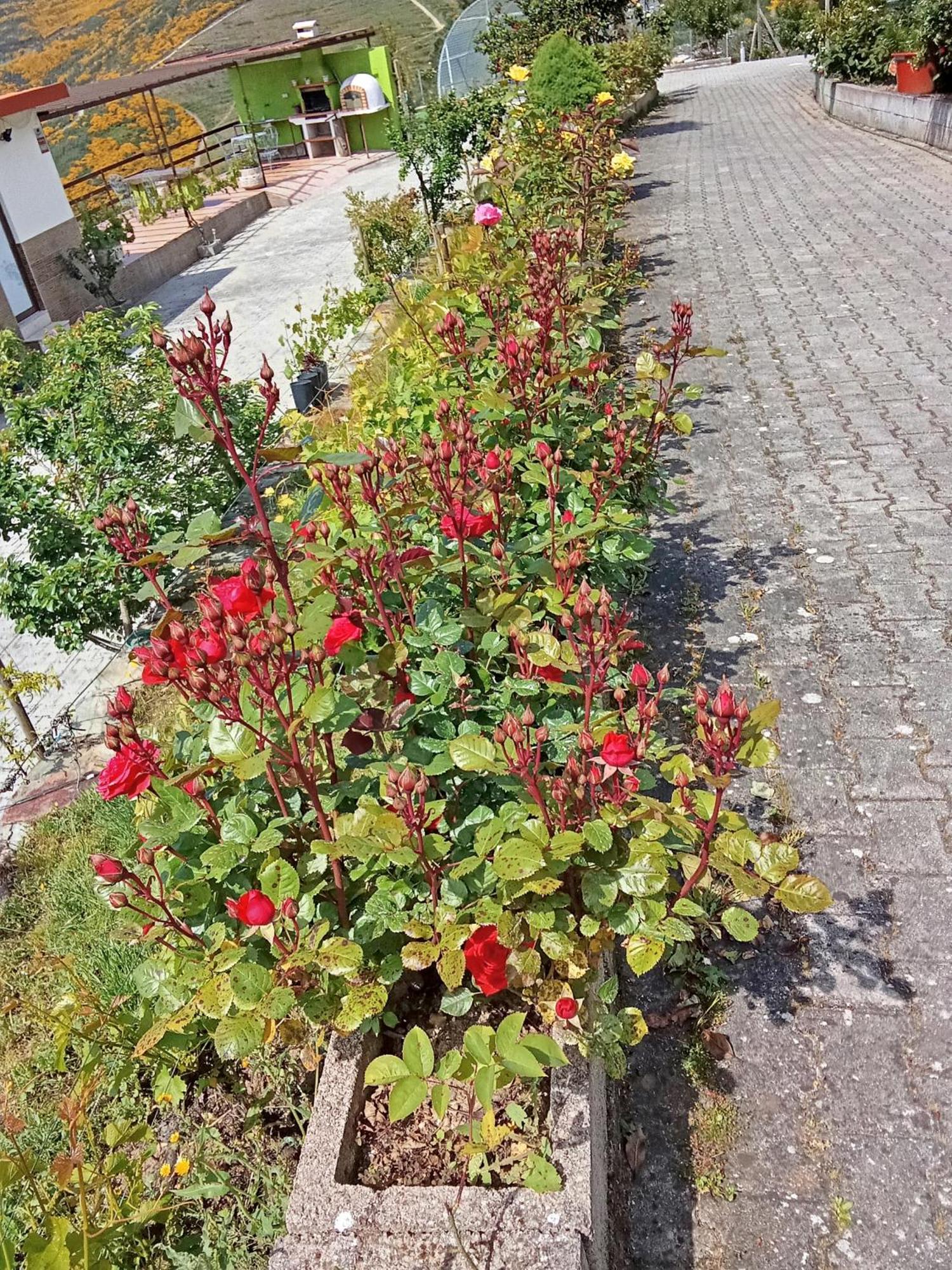 فندق Quinta Pedreira Dos Anjos Provesende المظهر الخارجي الصورة